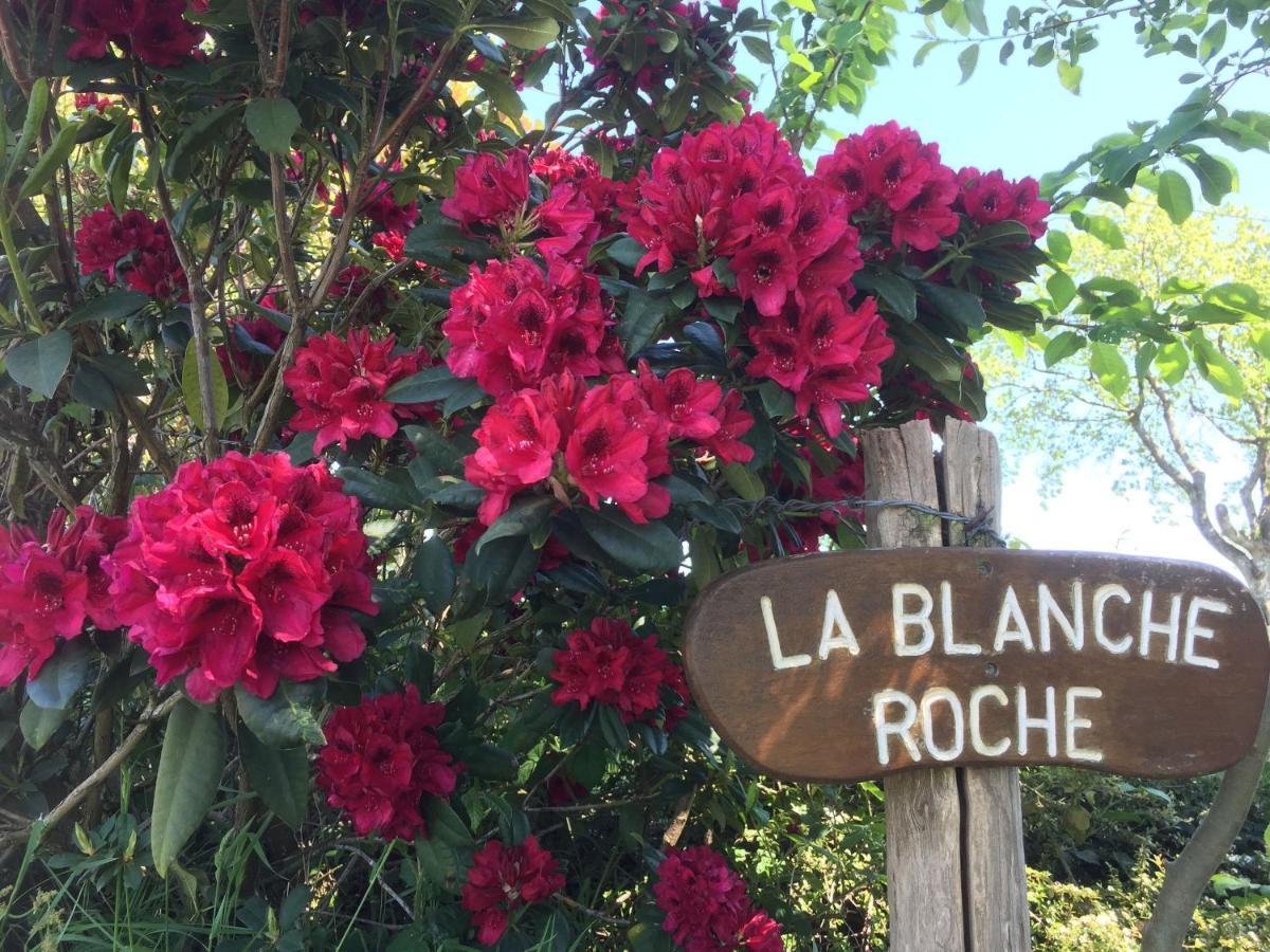 La Blanche Roche Bed & Breakfast Sourdeval Exterior photo